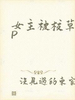 女主被校草们NP