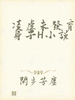 凌虐未发育的小身子H小说
