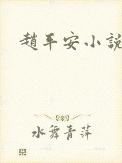 赵平安小说主角