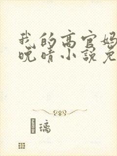 我的高官妈妈苏晚晴小说免费阅读