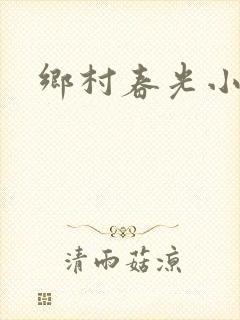 乡村春光小说