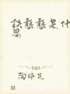 铁憨憨是什么意思