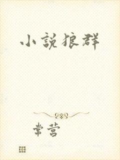 小说狼群