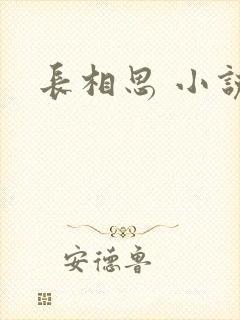 长相思 小说