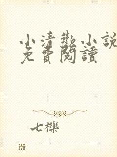 小清欢小说全文免费阅读