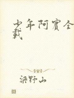 少年阿宾全集下载