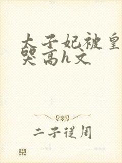 太子妃被皇上c哭高h文