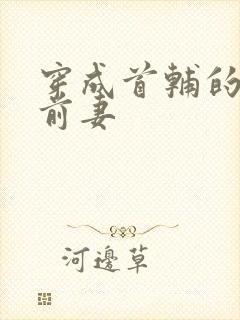 穿成首辅的炮灰前妻