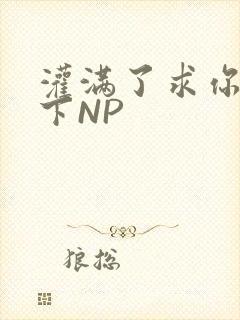 灌满了求你们停下NP