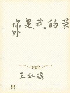 你是我的荣耀番外