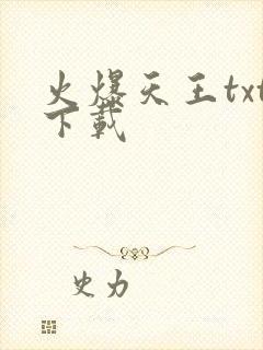 火爆天王txt下载