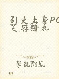 引火上身POP芝麻糖丸