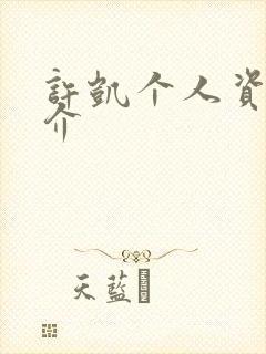 许凯个人资料简介