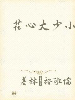 花心大少小说
