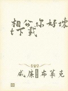 相公你好坏txt下载
