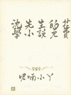 沈先生的花式教学小说免费