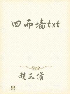 四面墙txt