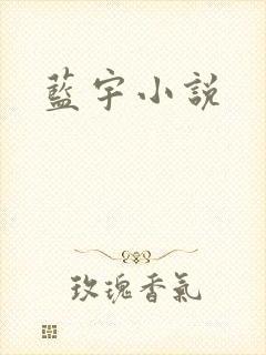 蓝宇小说