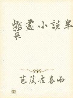 燃尽小说半截白菜