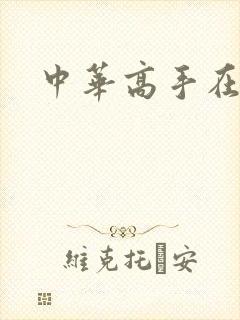 中华高手在异世