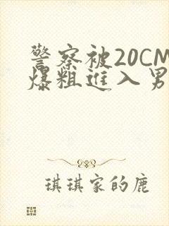 警察被20CM爆粗进入男男软件