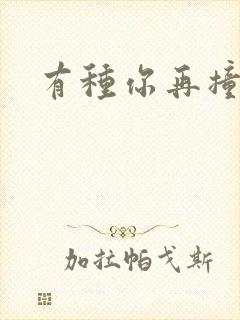 有种你再撞一下