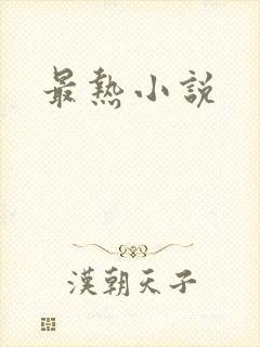 最热小说