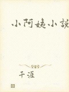 小阿姨小说
