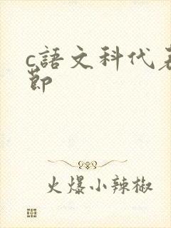 c语文科代表一节