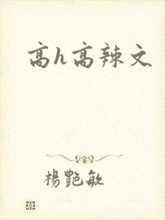 高h高辣文