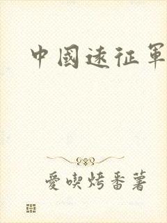 中国远征军小说