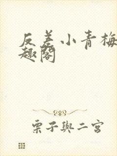 反差小青梅 笔趣阁