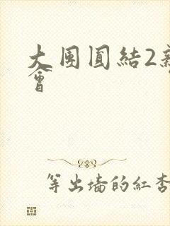 大团圆结2亲情会