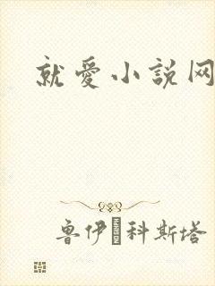 就爱小说网