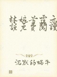 林婉兮霍亦铭小说免费阅读