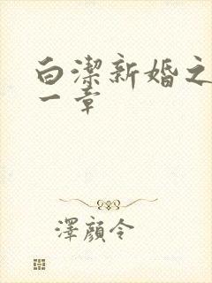 白洁新婚之夜第一章