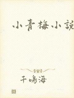 小青梅小说