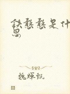 铁憨憨是什么意思