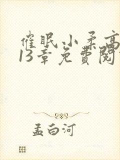 催眠小柔高达第13章免费阅读