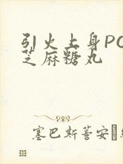 引火上身POP芝麻糖丸