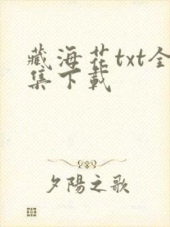 藏海花txt全集下载