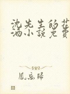 沈先生的花式调酒小说免费阅读