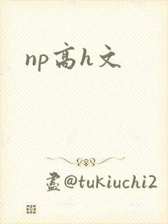 np高h文