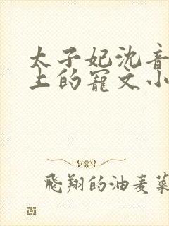 太子妃沈音和皇上的宠文小说