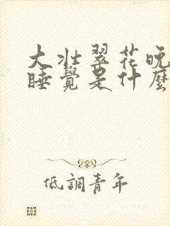 大壮翠花晚上不睡觉是什么电视剧