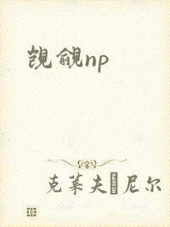 觊觎np
