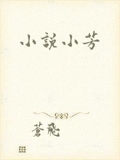 小说小芳