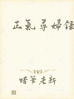 正气寻妇录