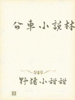 公车小说林蔓蔓
