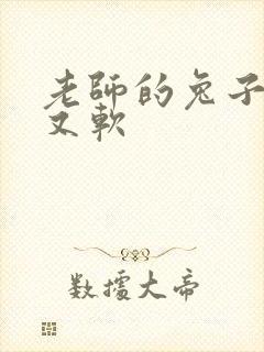 老师的兔子又大又软